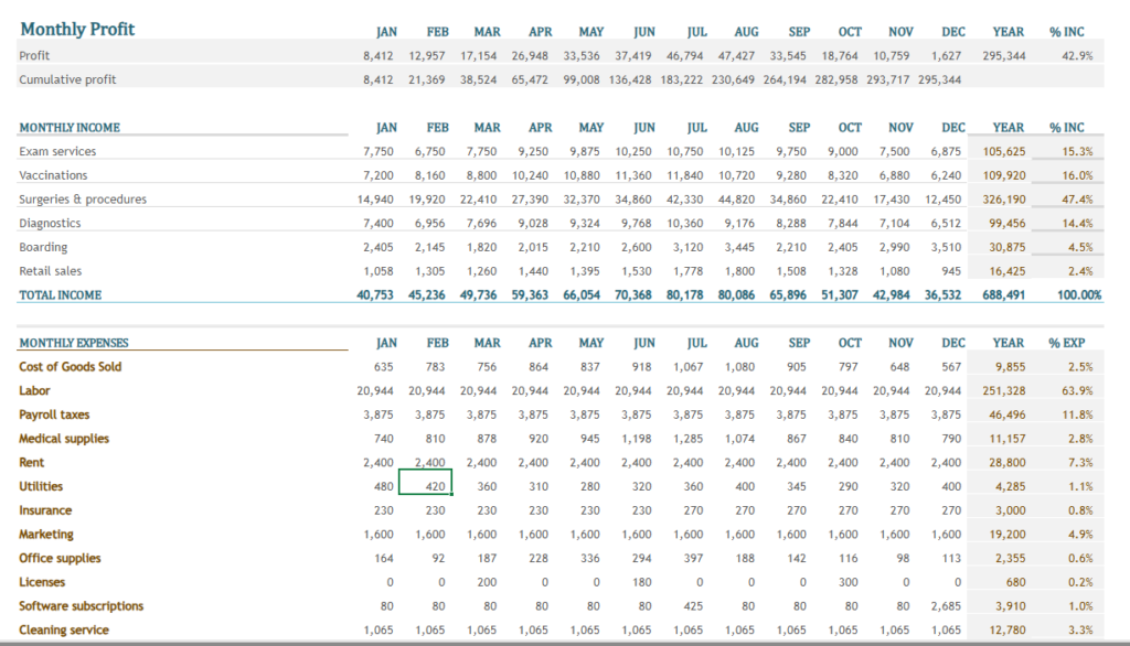 monthly income and expenses